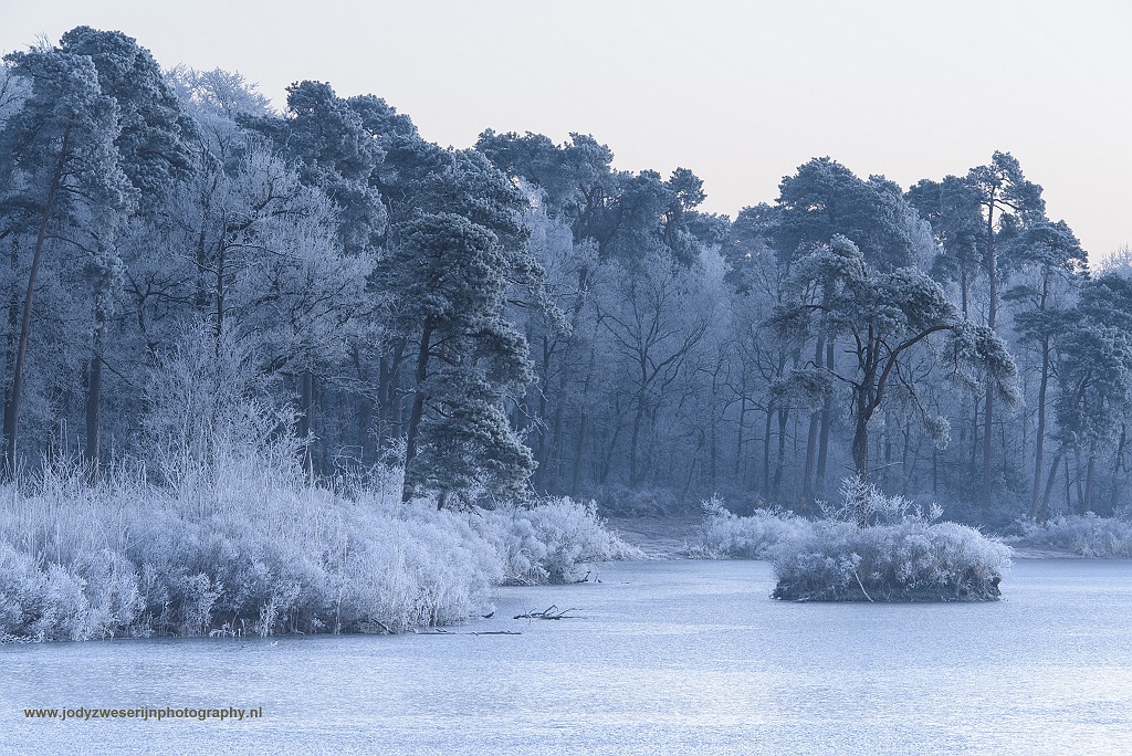 Oisterwijkse vennen, een wintersprookje!