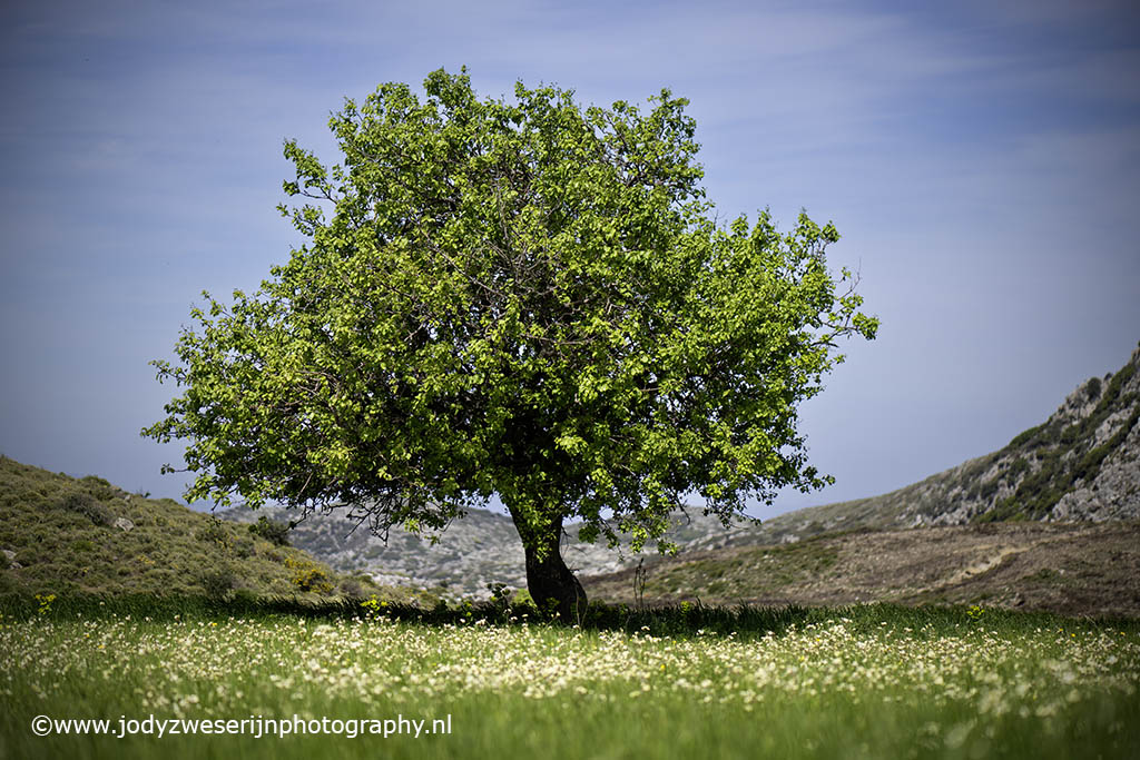 Hoogvlakte, Kreta, Griekenland, 11-4-2024